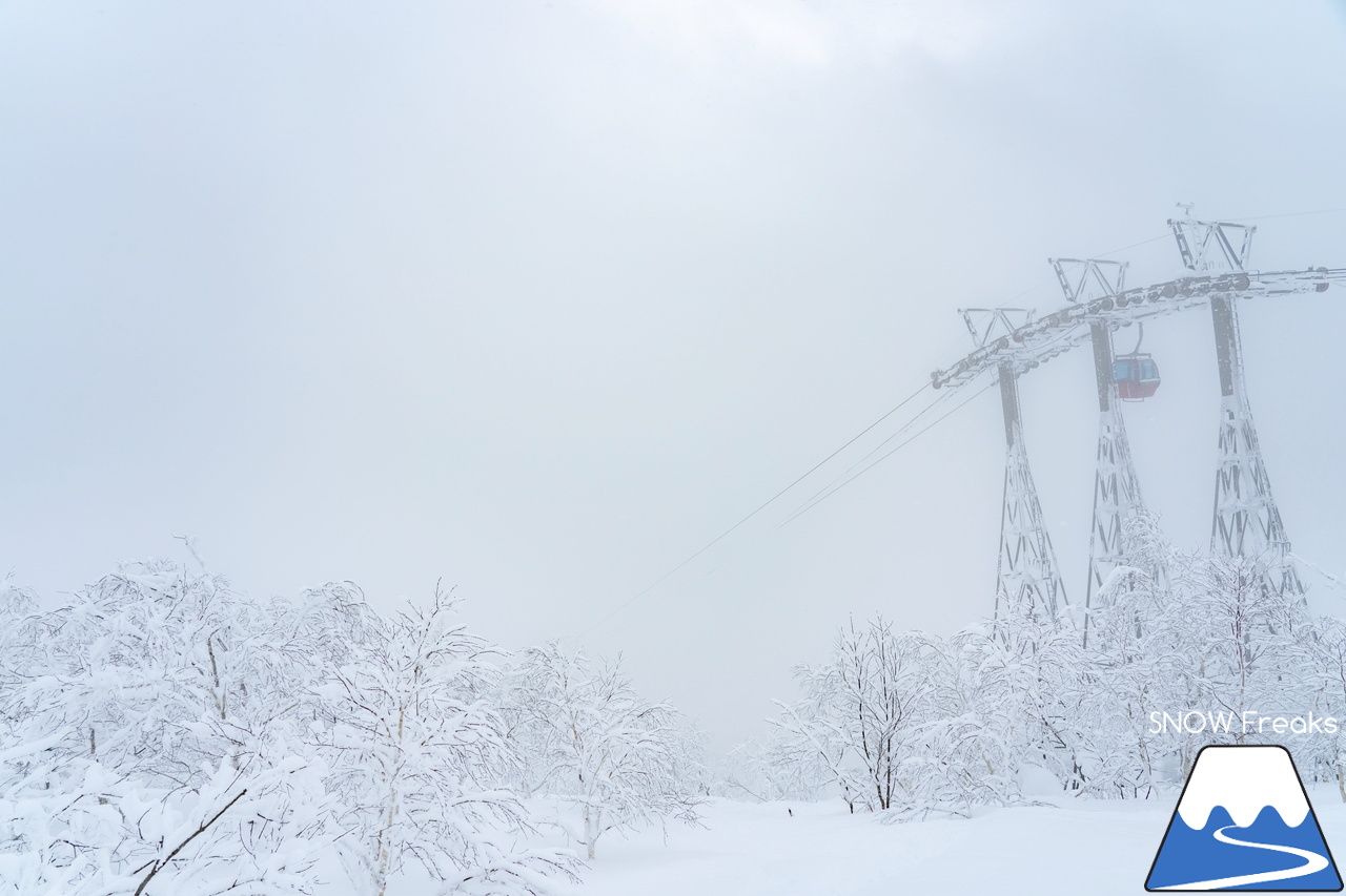 大雪の恩恵に感謝しながらパウダーを滑る！北海道発 スキー・アウトドア専門店『パドルクラブ』のスタッフたちの休日。【記録的大雪編】in 十勝サホロリゾート